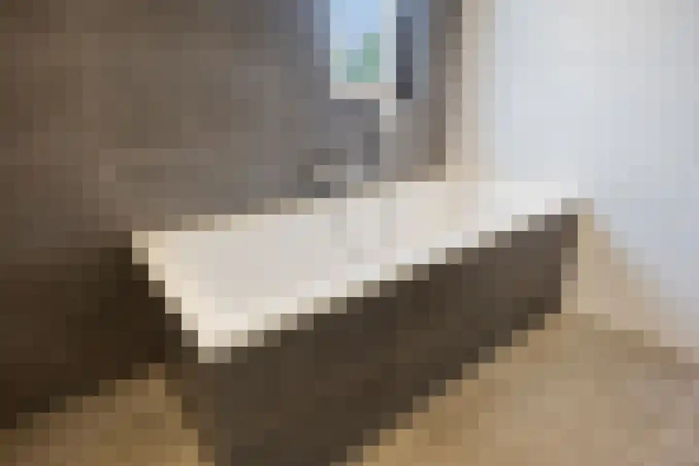 Weegbree 14 Cuijk thumbnail 49