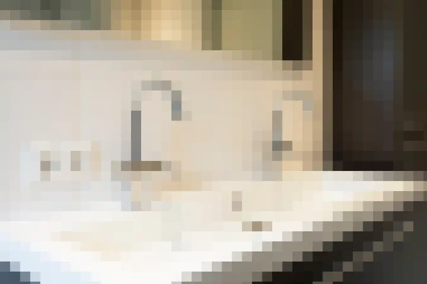 Weegbree 14 Cuijk thumbnail 50