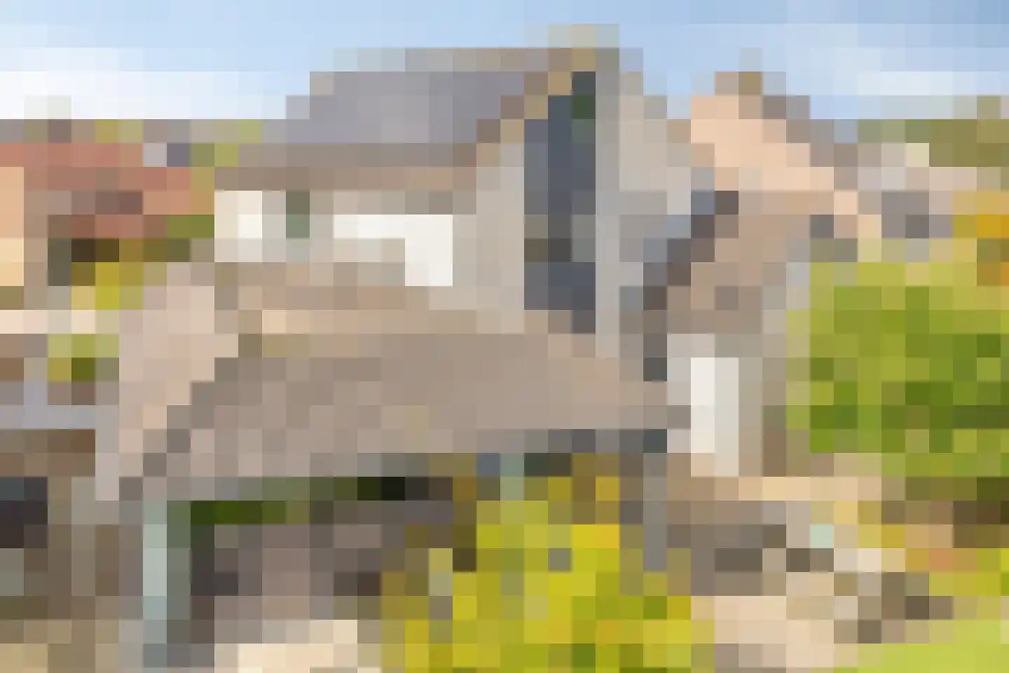 Weegbree 14 Cuijk thumbnail 61