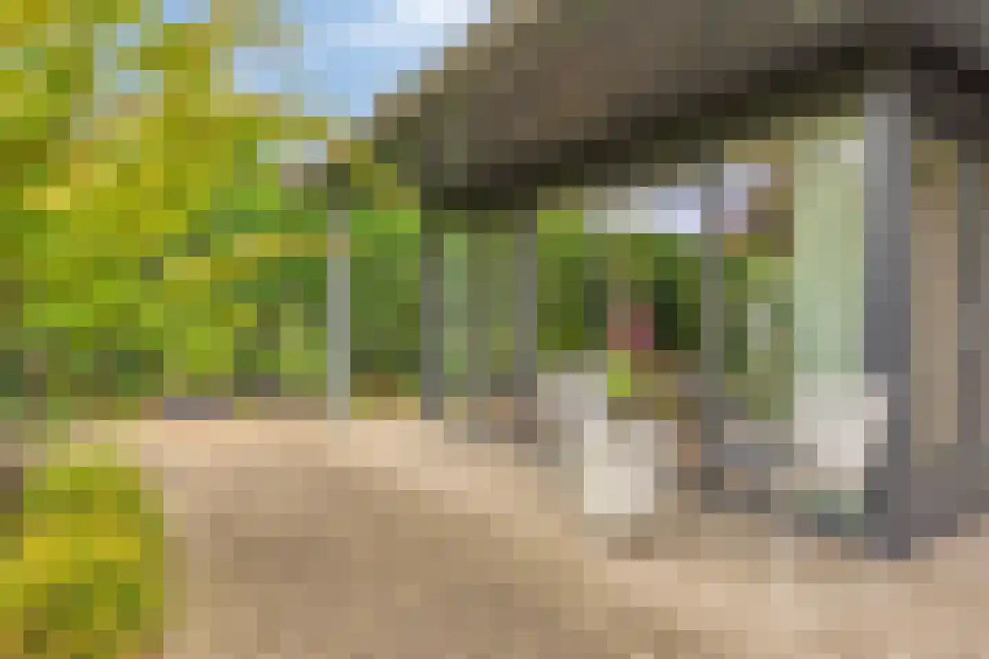 Weegbree 14 Cuijk thumbnail 64