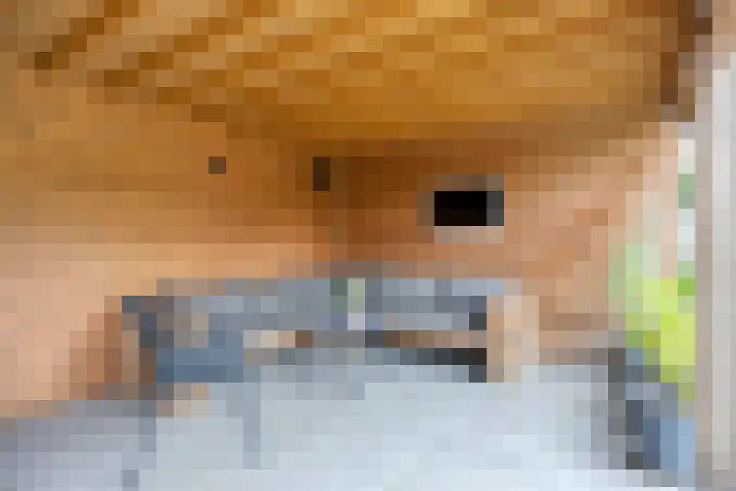Weegbree 14 Cuijk thumbnail 69