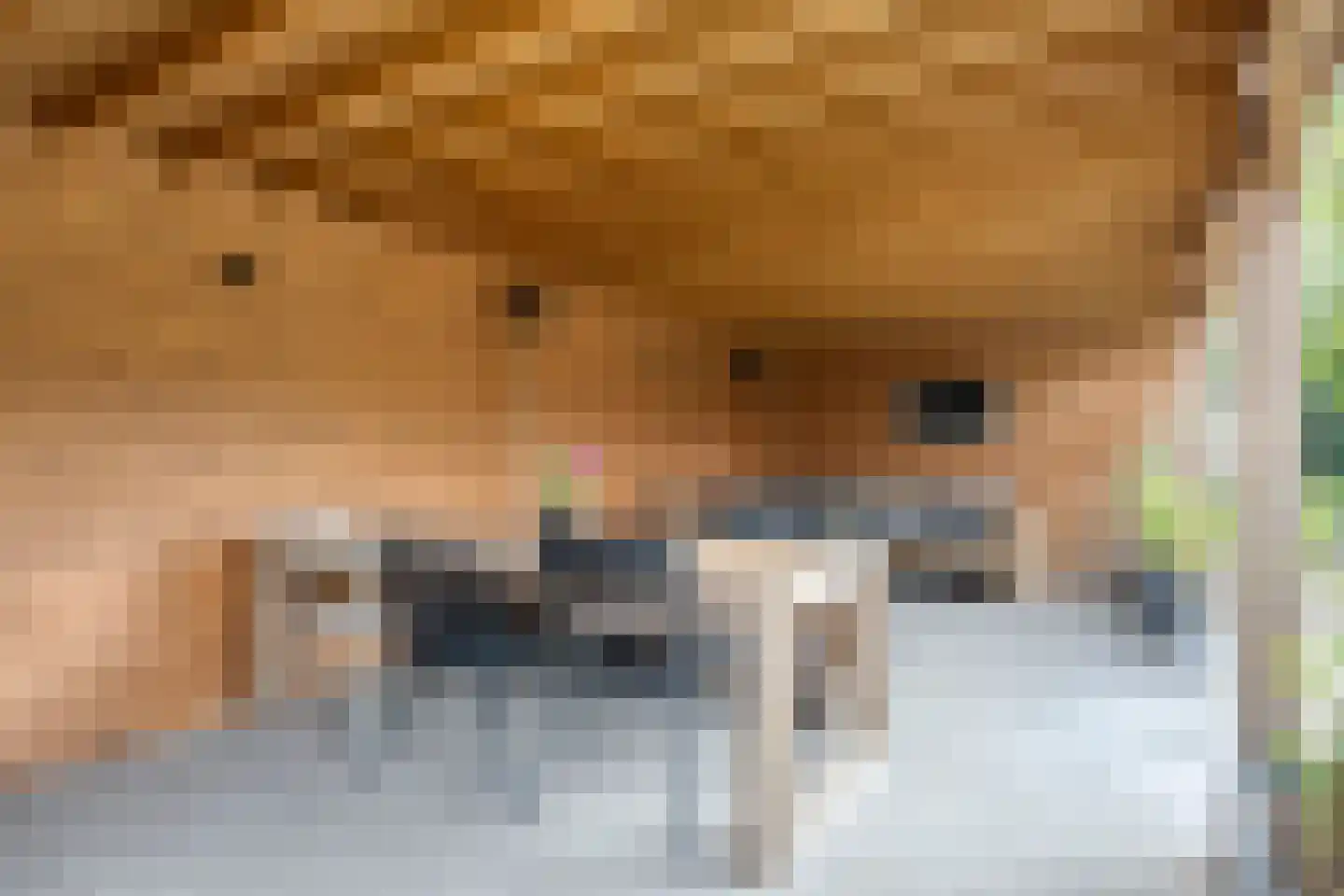 Weegbree 14 Cuijk thumbnail 70
