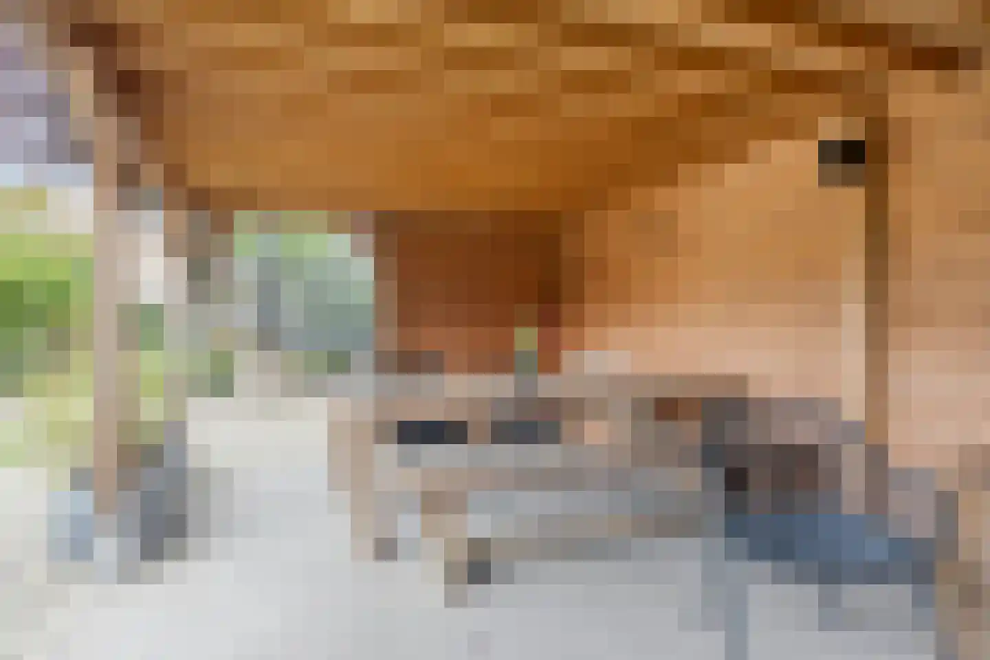 Weegbree 14 Cuijk thumbnail 71