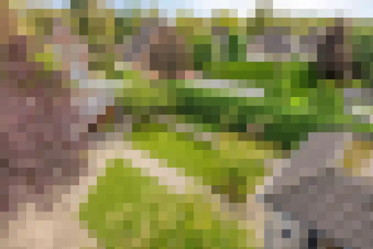 Weegbree 14 Cuijk thumbnail 74