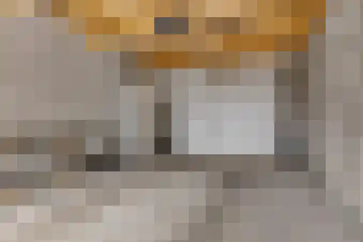 Weegbree 14 Delfzijl thumbnail 10
