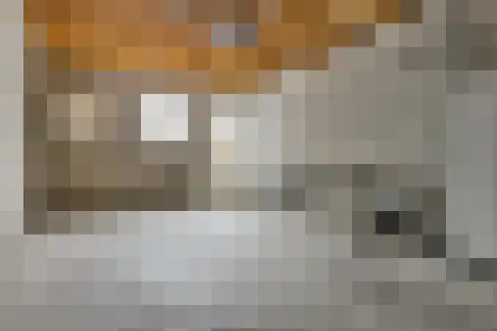 Weegbree 14 Delfzijl thumbnail 11