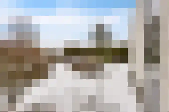 Weegbree 14 Delfzijl thumbnail 12