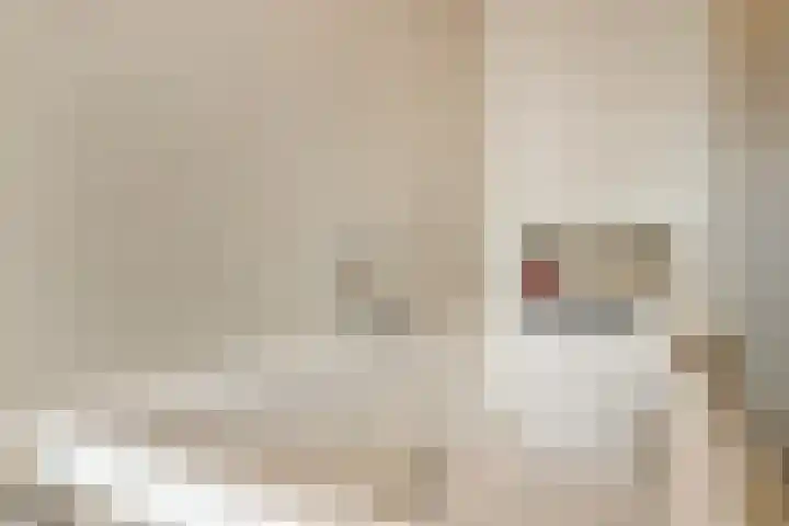 Weegbree 14 Delfzijl thumbnail 13