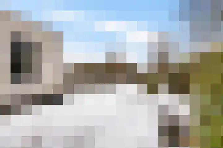 Weegbree 14 Delfzijl thumbnail 16
