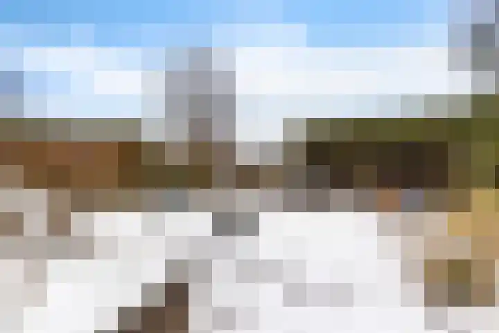 Weegbree 14 Delfzijl thumbnail 17