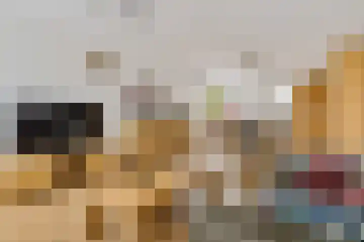 Weegbree 14 Delfzijl thumbnail 24