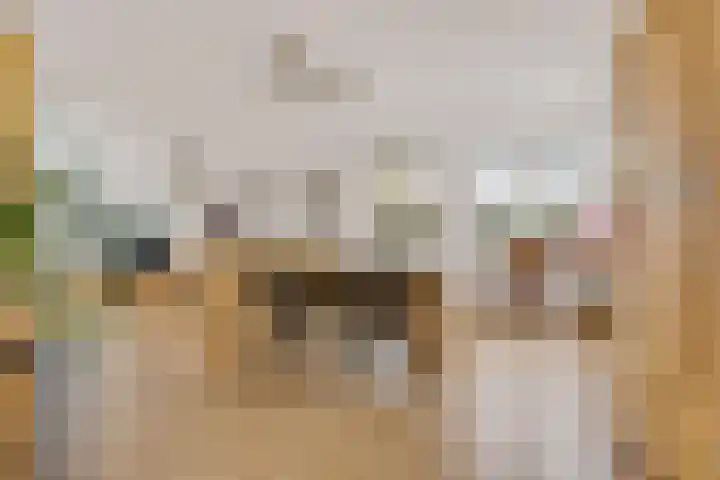 Weegbree 14 Delfzijl thumbnail 26