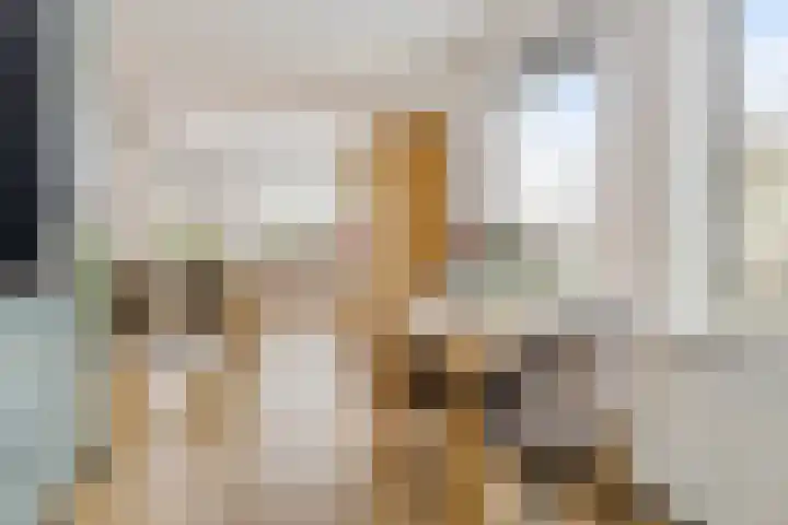 Weegbree 14 Delfzijl thumbnail 29