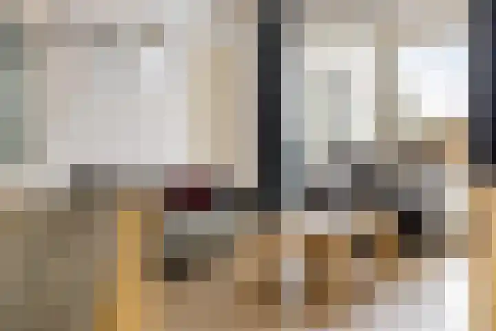 Weegbree 14 Delfzijl thumbnail 31