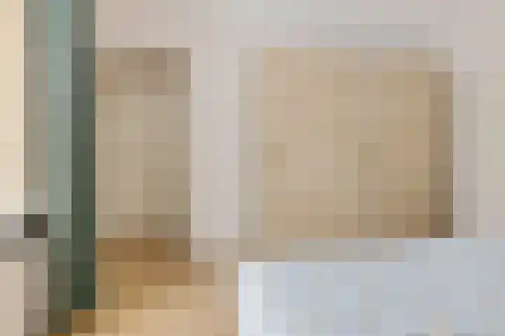 Weegbree 14 Delfzijl thumbnail 34