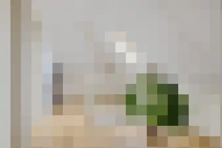 Weegbree 14 Delfzijl thumbnail 42
