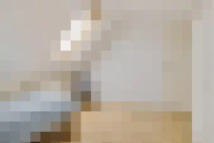 Weegbree 14 Delfzijl thumbnail 44