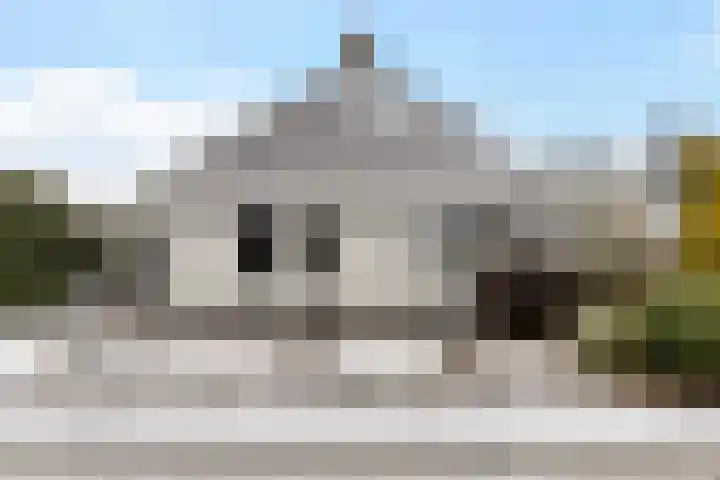 Weegbree 14 Delfzijl thumbnail 6