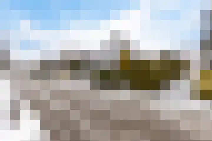 Weegbree 14 Delfzijl thumbnail 7
