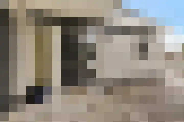 Weegbree 14 Delfzijl thumbnail 8