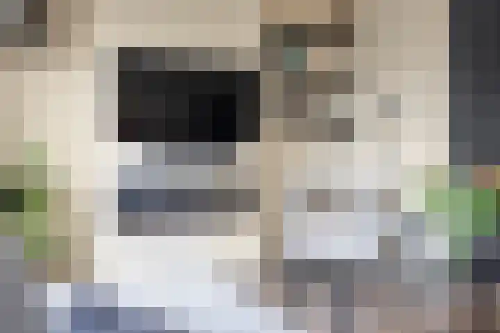 Weegbree 14 Heerenveen thumbnail 11