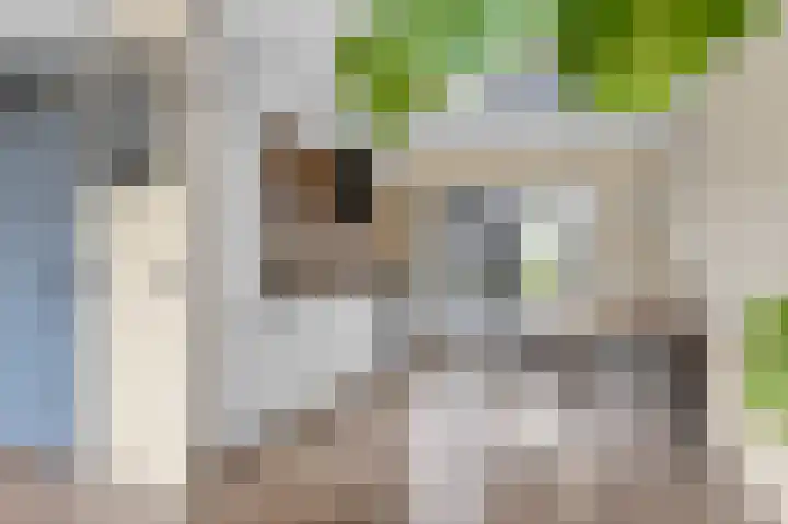 Weegbree 14 Heerenveen thumbnail 12