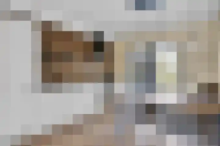 Weegbree 14 Heerenveen thumbnail 13