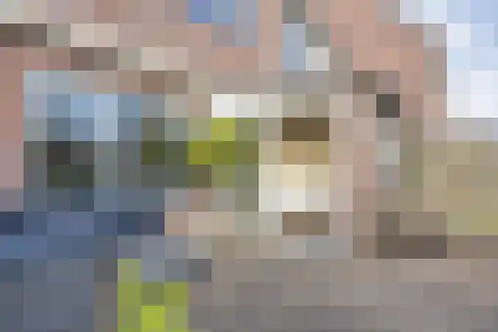 Weegbree 14 Heerenveen thumbnail 27