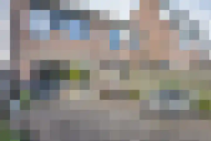 Weegbree 14 Heerenveen thumbnail 28