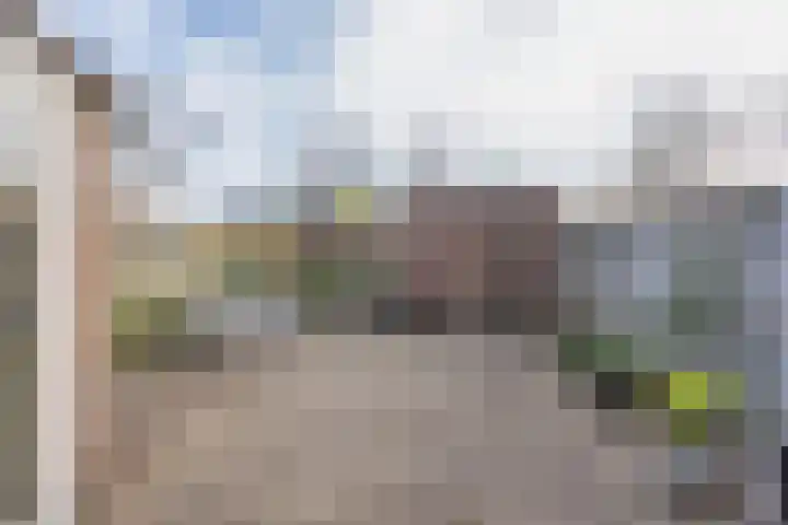 Weegbree 14 Heerenveen thumbnail 29