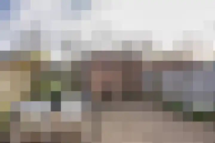 Weegbree 14 Heerenveen thumbnail 30
