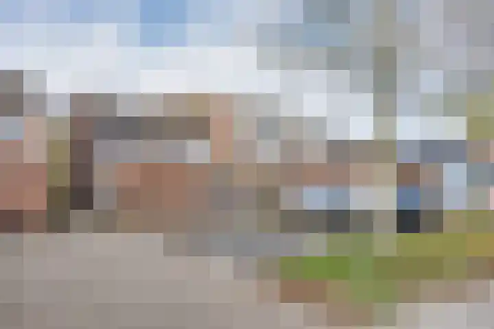 Weegbree 14 Heerenveen thumbnail 31