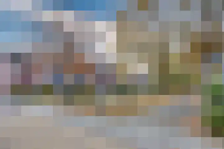 Weegbree 14 Heerenveen thumbnail 33