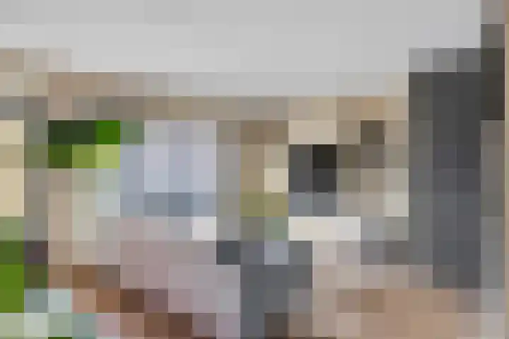 Weegbree 14 Heerenveen thumbnail 7