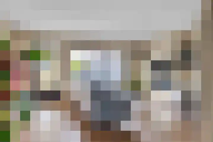 Weegbree 14 Heerenveen thumbnail 9