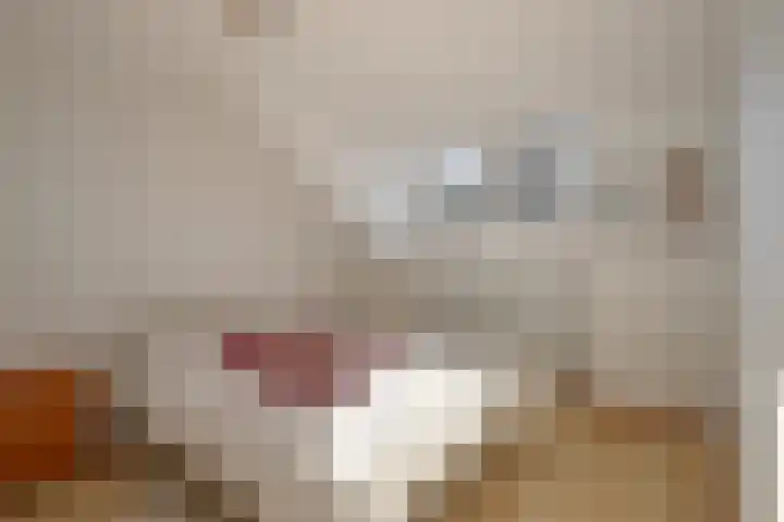 Weegbree 14 Landgraaf thumbnail 15