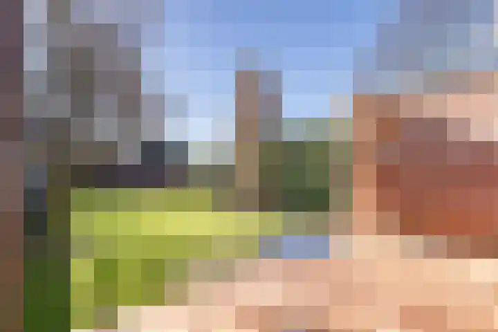 Weegbree 14 Landgraaf thumbnail 20