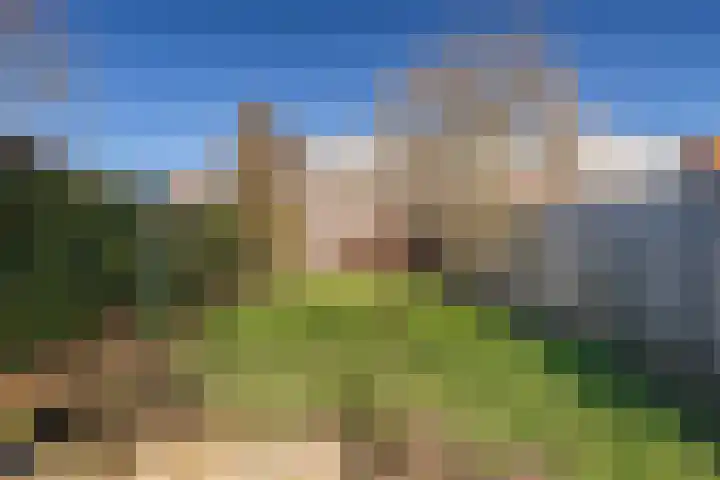 Weegbree 14 Landgraaf thumbnail 23