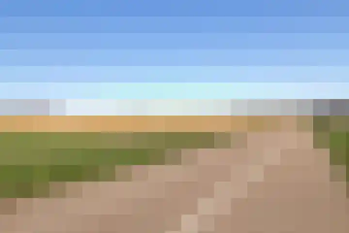Weegbree 14 Landgraaf thumbnail 27