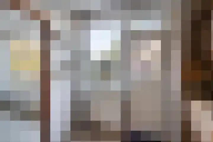 Weegbree 141 Krimpen aan den IJssel thumbnail 10