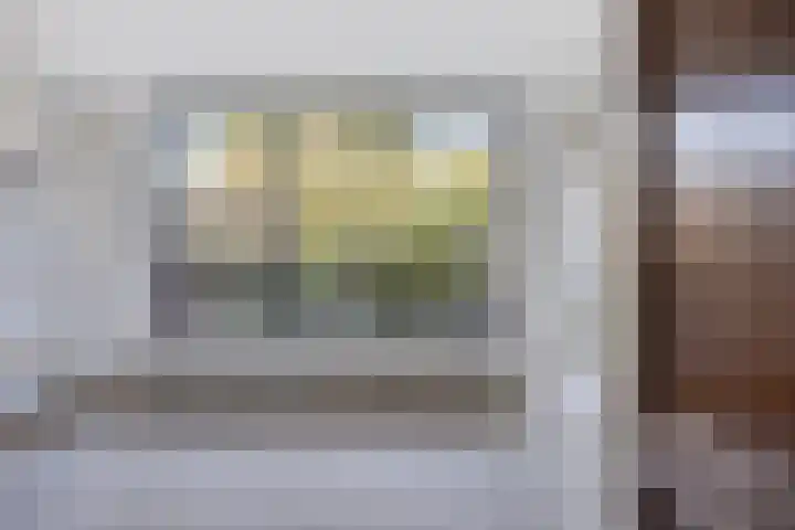 Weegbree 141 Krimpen aan den IJssel thumbnail 15