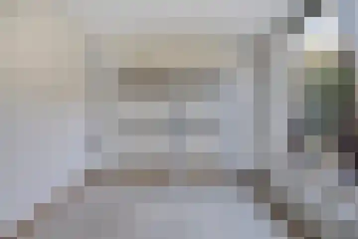 Weegbree 141 Krimpen aan den IJssel thumbnail 16