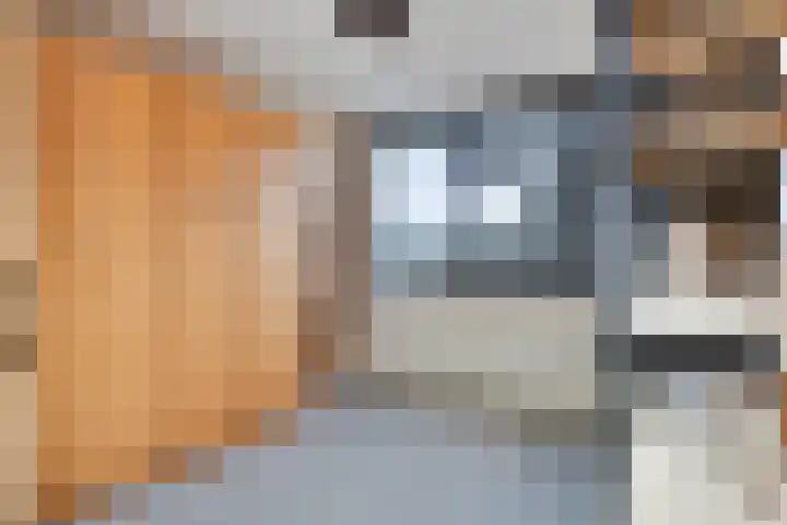 Weegbree 141 Krimpen aan den IJssel thumbnail 24