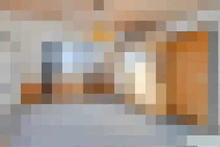 Weegbree 141 Krimpen aan den IJssel thumbnail 31