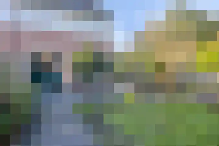 Weegbree 141 Krimpen aan den IJssel thumbnail 33