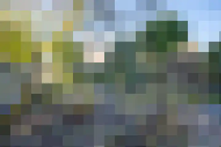 Weegbree 141 Krimpen aan den IJssel thumbnail 35
