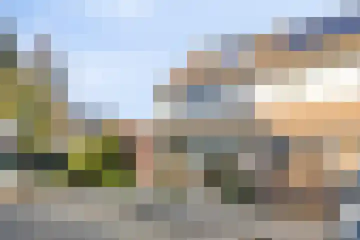 Weegbree 141 Krimpen aan den IJssel thumbnail 37