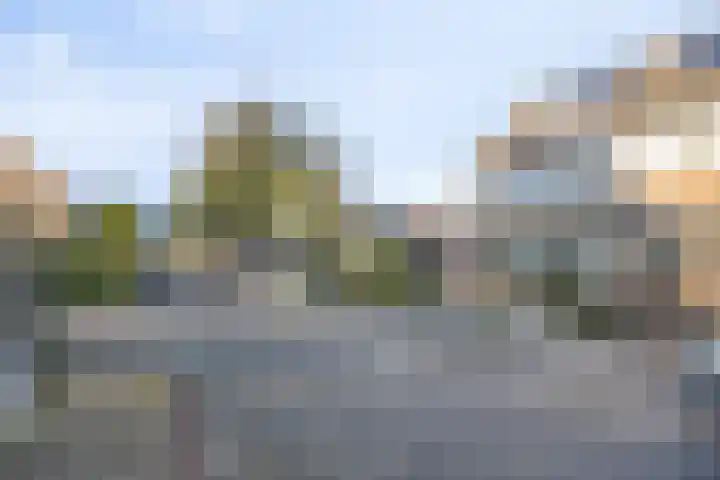 Weegbree 141 Krimpen aan den IJssel thumbnail 38