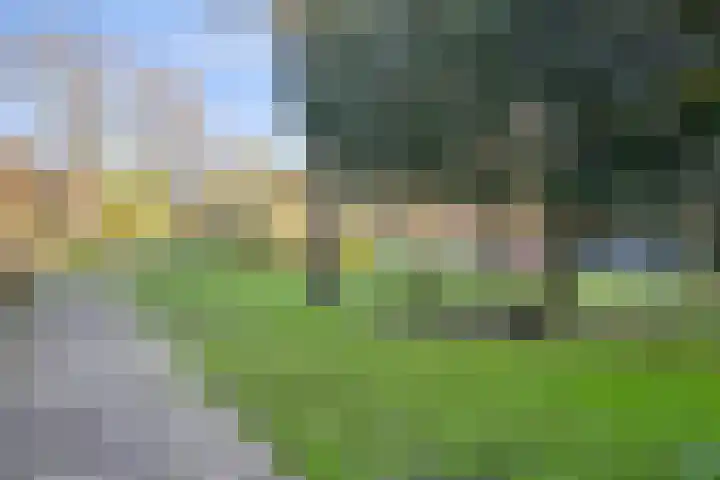 Weegbree 141 Krimpen aan den IJssel thumbnail 39