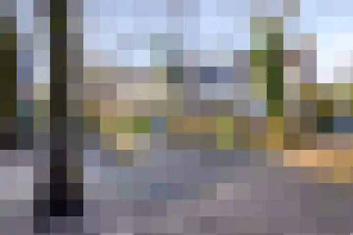 Weegbree 141 Krimpen aan den IJssel thumbnail 40
